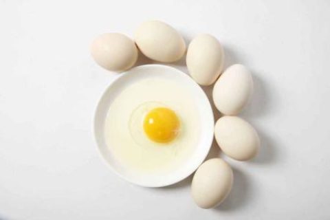 鸡蛋孵化和储存过程中的湿度控制