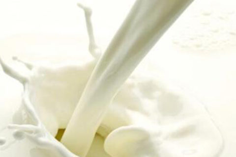 乳制品厂除湿机，乳制品厂防潮除湿方案
